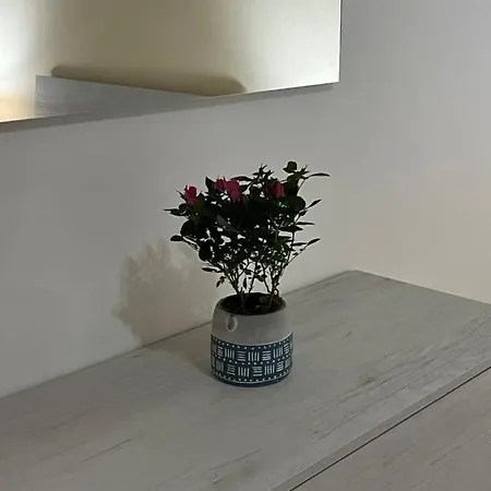 Apartamento Spyda