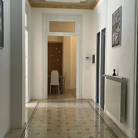Spyda